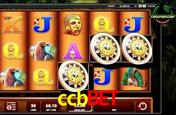 Apostas Esportivas na ccbbet: Um Guia Completo